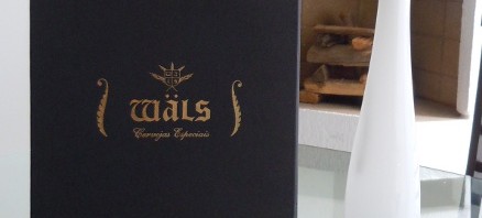 Wäls – Palestra